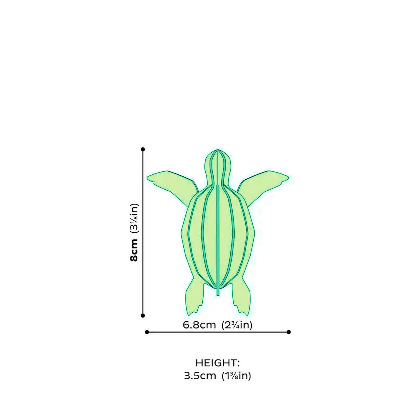 Skjaldbaka - 8 cm