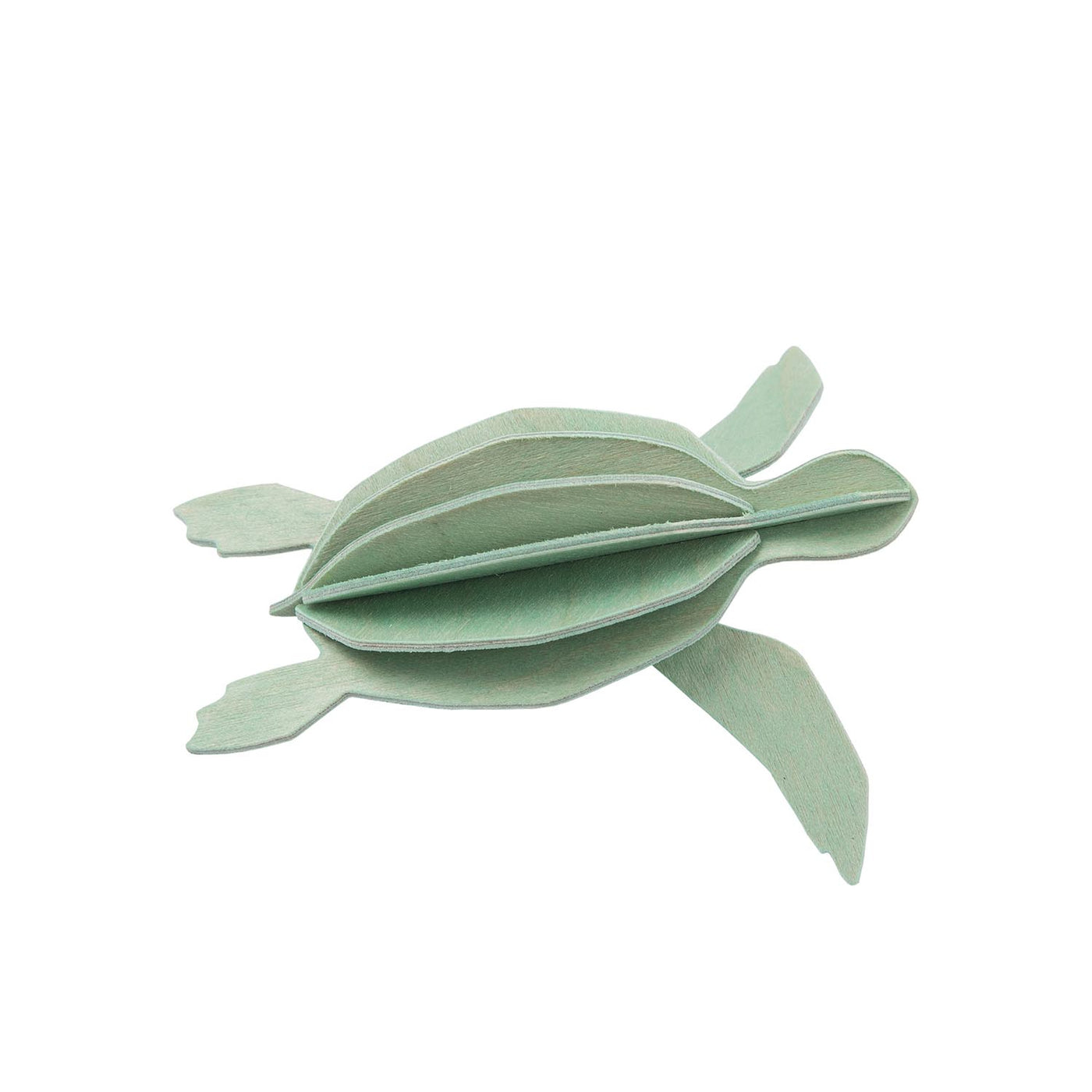 Skjaldbaka - 8 cm